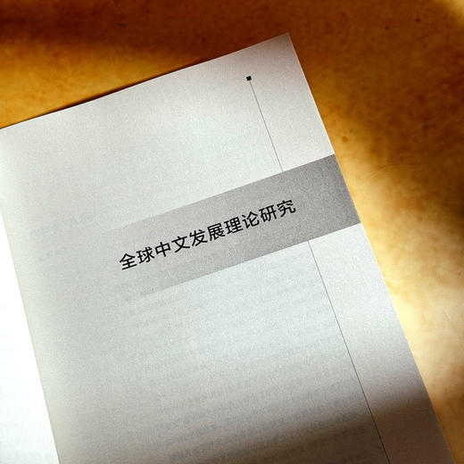 中文回溯与前瞻 全球中文发展研究 第四辑 商品图8