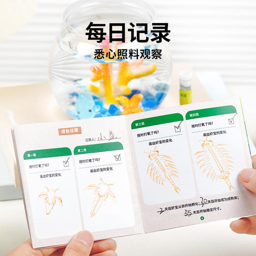 TOI图益Craftoi系列-虾宝养成记 商品图5