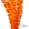 永生花材 | 单支尤加利漂色橙 商品缩略图3