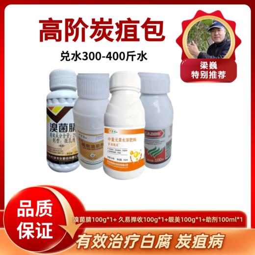 高阶段炭疽包 商品图0