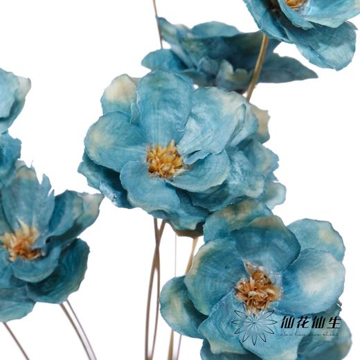 永生花 | 银珍花蓝 商品图3