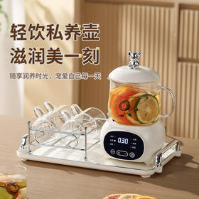 【轻饮私养壶，滋润美一刻】多功能养生杯家用养生壶 办公室迷你煮茶壶 花茶送礼养生壶套装-QQ