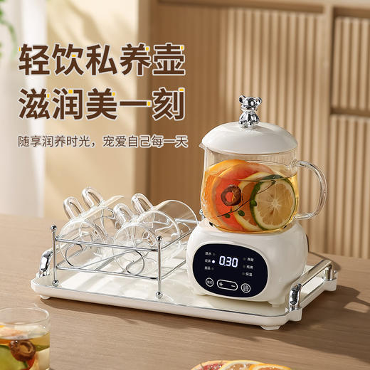 【轻饮私养壶，滋润美一刻】多功能养生杯家用养生壶 办公室迷你煮茶壶 花茶送礼养生壶套装-QQ 商品图0