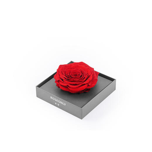【心动集合】ROSEONLY诺誓 永生玫瑰 心动系列 玫瑰花礼盒 送爱人女友礼物 商品图11