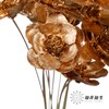 永生花 | 银珍花金色 商品缩略图3