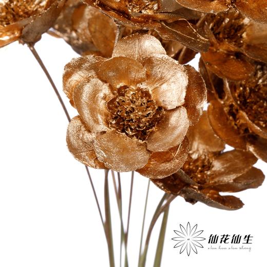 永生花 | 银珍花金色 商品图3