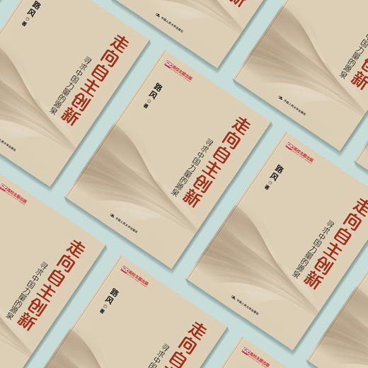 《走向自主创新：寻求中国力量的源泉》 商品图4