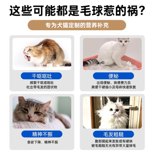 澳龙莫瑞加化呗圆苞车前子壳化毛膏120g 商品图4