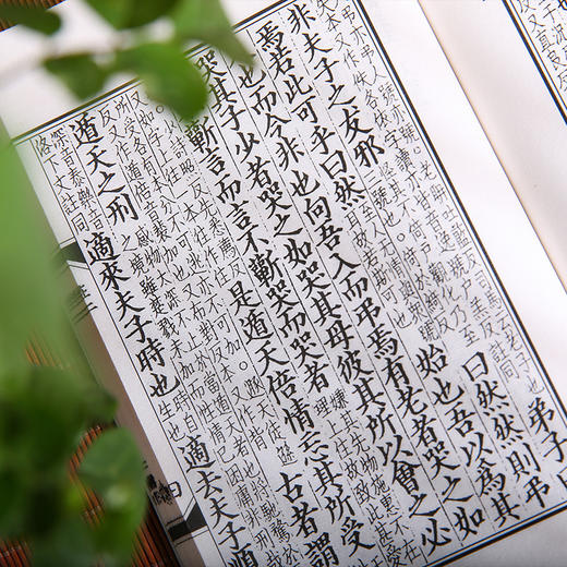 线装中华经典珍本丛刊 南华真经---精选底本，宣纸线装 商品图3