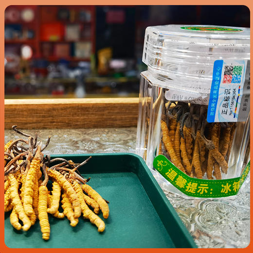 西藏那曲野生冬虫夏草干 干刷 苗家圆圆 顺丰包邮 商品图4