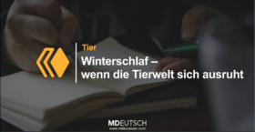 2025德语新闻阅读课第一期第1讲（MP3）