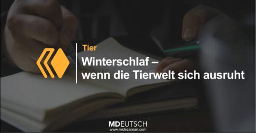 2025德语新闻阅读课第一期第1讲 商品图0