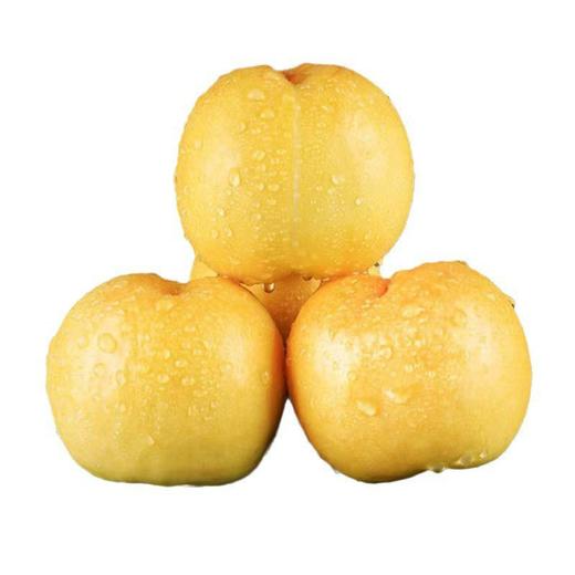 【臻选好果】黄金油桃4.5-5斤  顺丰发货 产地山东蒙阴 商品图0