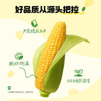 金掌门食用油 非转基因压榨一级(富含植物甾醇)玉米胚芽油6.20L  /粮油调味 /食用油 /玉米油 商品图2