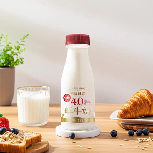 每日鲜语 商品图0