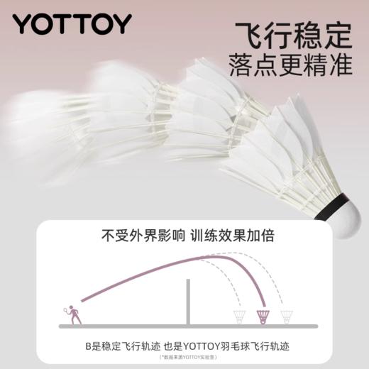 羽毛球耐打官方旗舰店专业训练球防风新款户外练习鹅毛/尼龙 商品图3