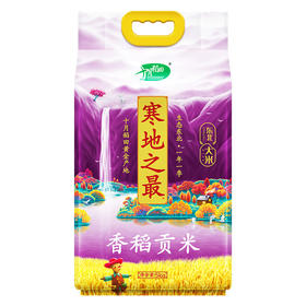 十月稻田 寒地之最香稻贡米5kg袋装 晶莹剔透 润滑爽口