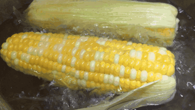 煮玉米必加这2样，香甜吃不够！