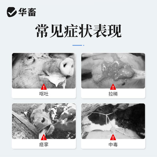 华畜硫酸阿托品注射液牛羊猪解磷中毒犬猫有机磷急救解毒呕吐痉挛 商品图1
