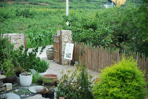 【彭州·537号院】3房/4房/5房泳池小院（可单房预定），临溪、轰趴、采摘、烧烤、k歌，放烟花，千亩梨园里yxxz 商品图4