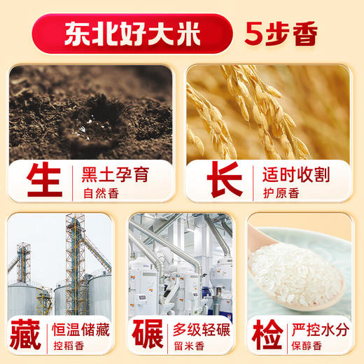 【金皇会69金币专享】十月稻田 当季新米 五常香米 五常大米 10斤（东北大米 5公斤/十斤） 商品图3