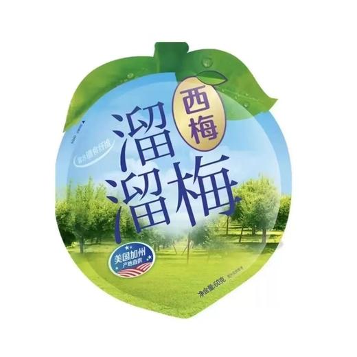 溜溜梅（梅原西梅）60g/袋（B15-01-09） 商品图0