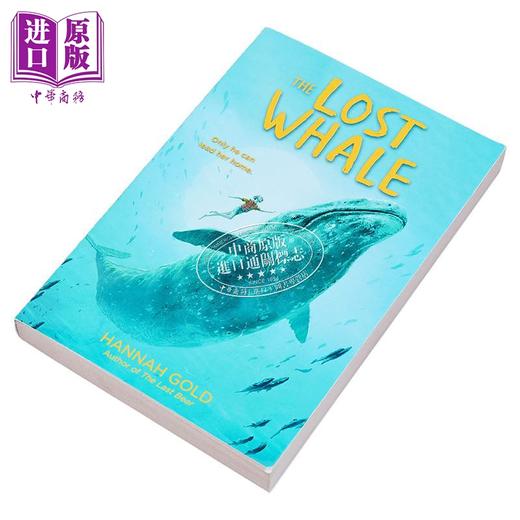 预售 【中商原版】最后的鲸鱼 The Lost Whale 英文原版 儿童动物冒险故事 进口儿童读物 8-12岁 插图儿童小说 最后的熊作者新作 商品图1