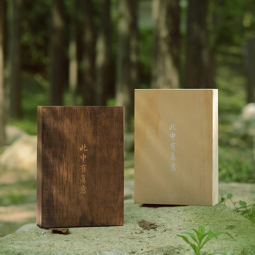 《陶渊明诗画集：悠然见南山》 陶渊明，是中国人的精神退守，是千年不灭的田园梦。 商品图4