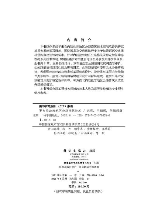 罗布泊盐岩地区公路修筑技术 商品图2