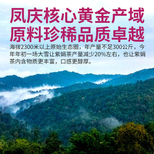 凤宁号【紫娟红茶】滇红茶 200克/盒 商品图2
