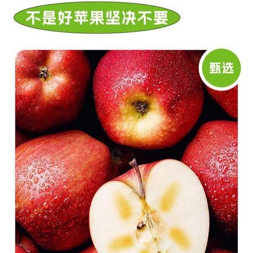 真宜健·新疆阿克苏冰糖心苹果原浆 500g  保留果肉纤维 不加水不稀释 商品图4