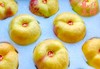 黄金玉油蟠桃｜蜜桃帝王-原产地限量出口礼盒级〔龙泉好礼〕【水果】 商品缩略图5