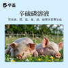 华畜兽用辛硫磷溶液癞螨灵除螨灵螨虫蜱虫跳蚤虱子禽畜体外驱虫药 商品缩略图3
