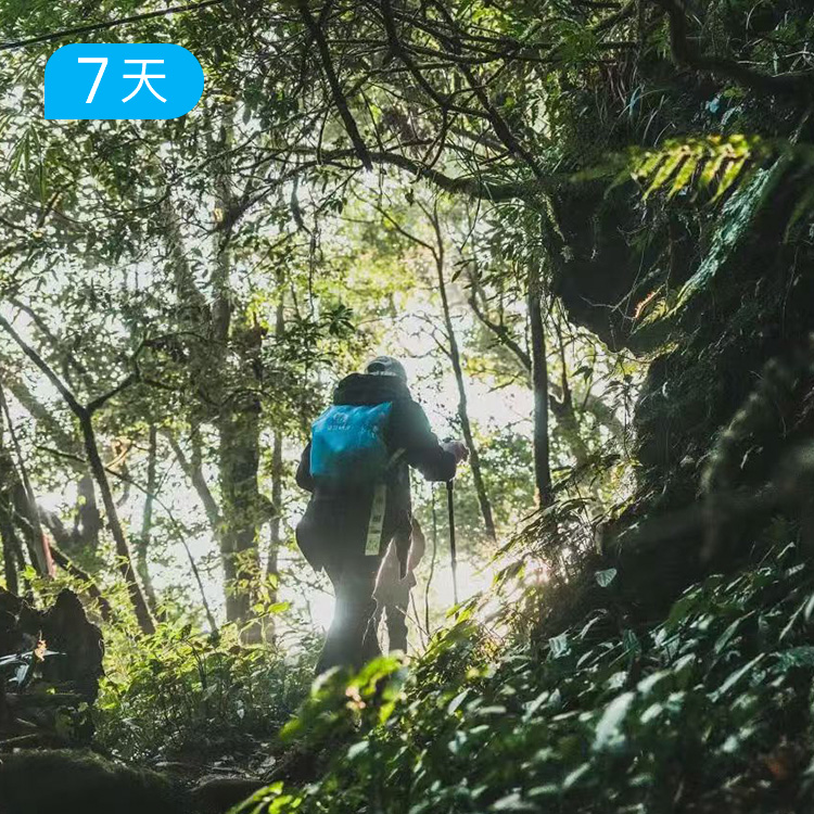 高黎贡100公里徒步 ｜穿越五大原始森林 徒步小众秘境 重走中国远征军之路 7日