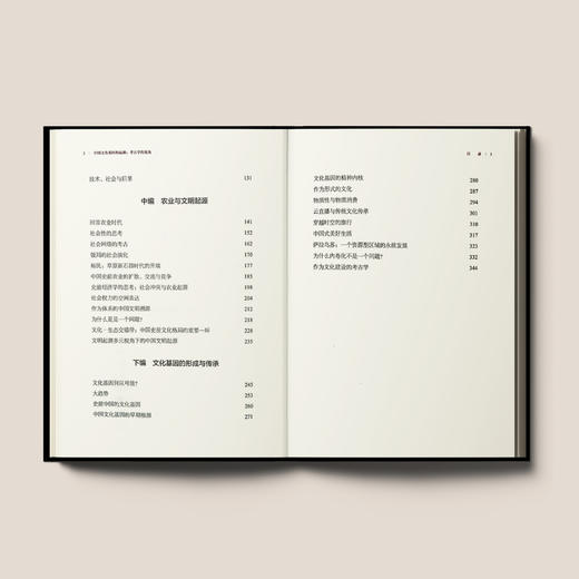 《中国文化基因的起源：考古学的视角》 商品图3