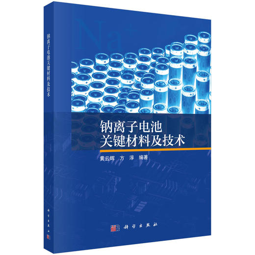 钠离子电池关键材料及技术 商品图0