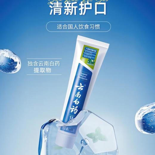 云南白药 薄荷清爽型 牙膏 100g/支 商品图1