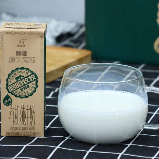 新疆金绿成3.8蛋白高钙有机纯牛奶| 活动到手4箱 商品图0