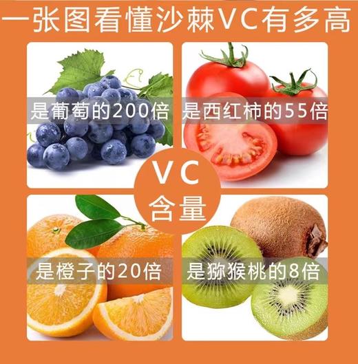 维傲·沙棘全果冻干粉 120g/桶 （6g* 20包）  全果营养不流失  酸甜适口不涩嘴 商品图2