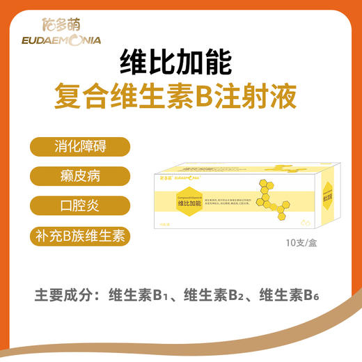 佑多萌-维比加能-B族维生素注射液 商品图0