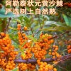 真宜健·沙棘原浆 50g*30  不提籽 不提油 纯原浆不加一滴水 商品缩略图4