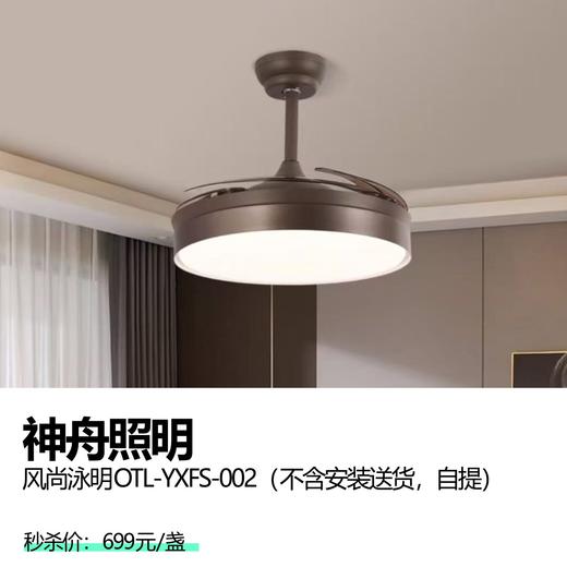 神舟照明 风尚泳明OTL-YXFS-002（不含安装送货，自提） 商品图0