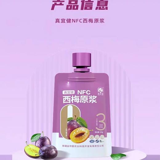 真宜健·西梅原浆 100g*10  低温锁鲜工艺 保留西梅多酚  商品图1