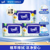 f『得宝Tempo』洋甘菊湿厕纸40片/包x3包 经期可用卫生清爽抽取式湿巾湿厕纸 商品缩略图0