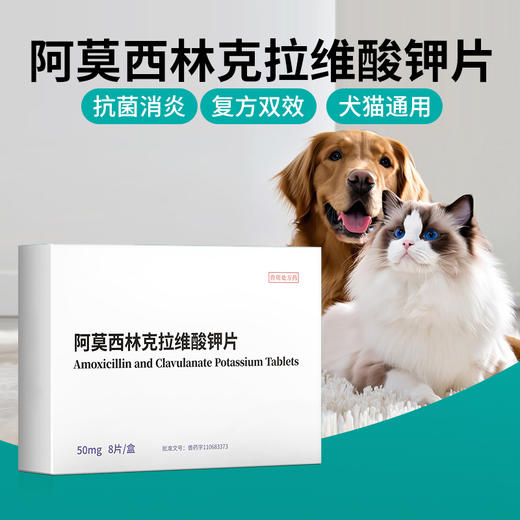 狗狗猫咪感冒药猫支鼻咳嗽打喷嚏流鼻涕宠物阿莫西林克拉维酸甲片 商品图0