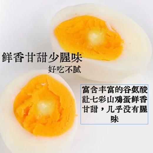 恩施硒都七彩山鸡蛋30枚装 商品图3