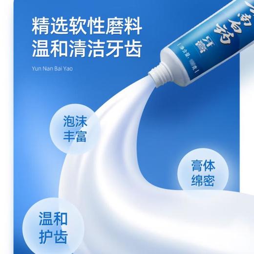 云南白药 薄荷清爽型 牙膏 100g/支 商品图2