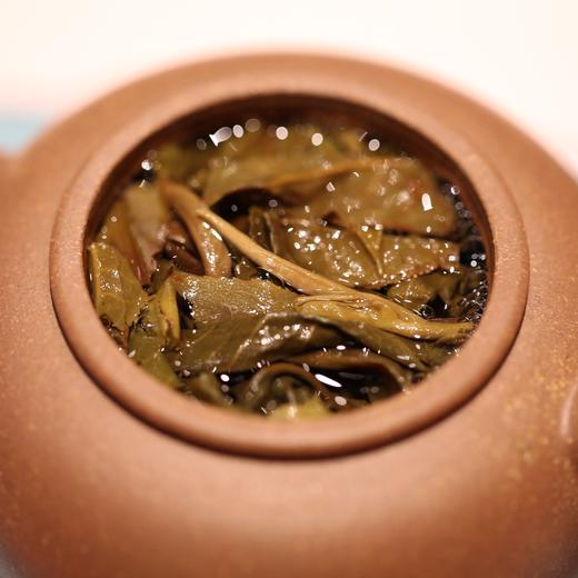 2025亦悟·九宫格 古树生茶 心清水见月 石昆牧老师定制 商品图8