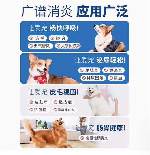 伴延清-马波沙星片 商品图2