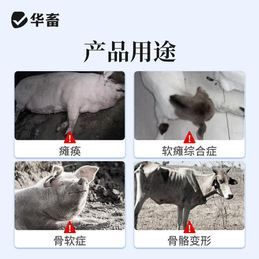 华畜兽药葡萄糖酸钙注射液兽用猪牛羊佝偻病软骨症产后瘫补钙针剂 商品图1